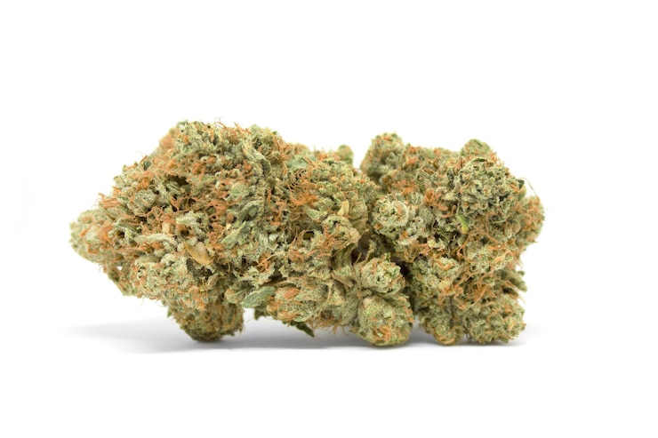 Foto close-up medische marihuana knoppen tegen zwarte achtergrond