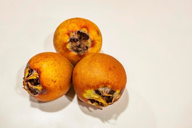 Foto frutti di medlar da vicino su sfondo bianco