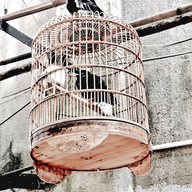 Photo close-up of metal grate in cage