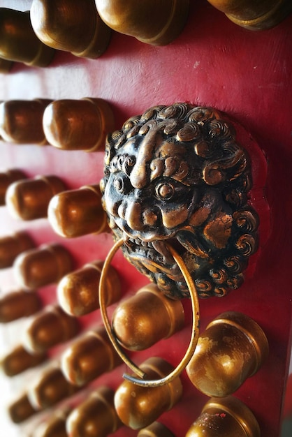 Close-up of metallic lion door knocker