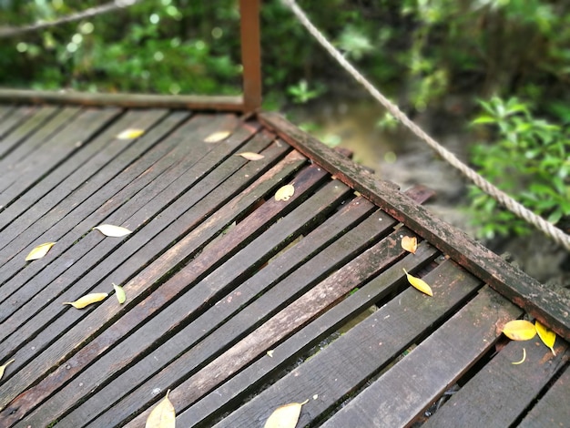 Photo close-up of metallic wood