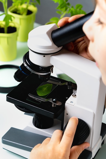 Close-up microscope and plant study, increasing and studying nature, vertical photo.