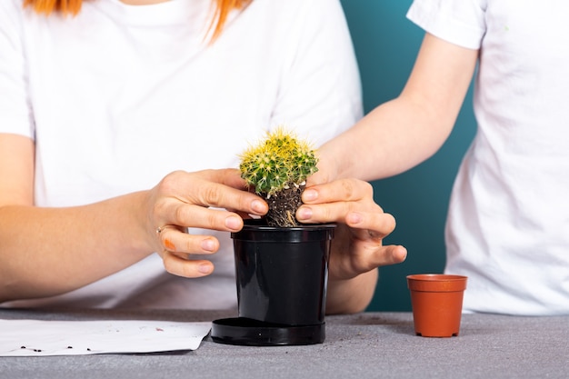 Primo piano della mamma e del figlio piantano un cactus leggermente cresciuto in un vaso nero