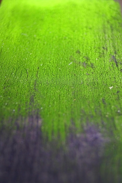 Photo close-up of moss covered wall