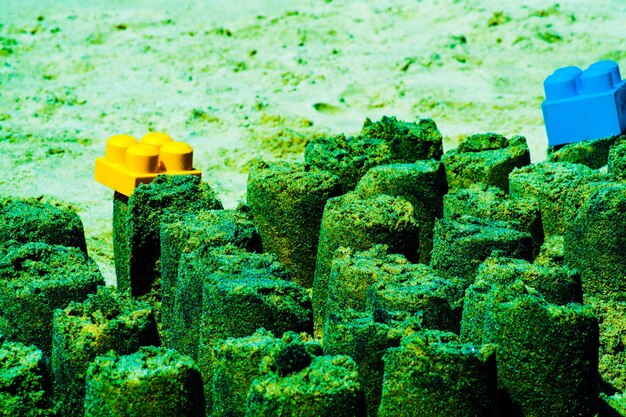 Close-up of moss on rock