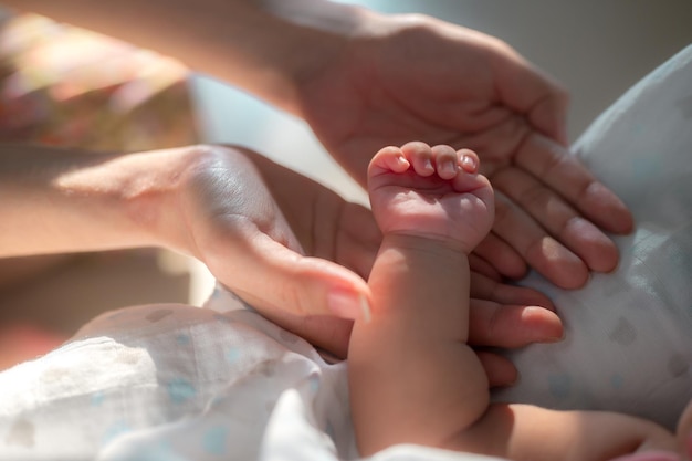 Chiuda sulla mano della madre che tiene la mano del neonato con amore e cura alla luce del sole del mattino