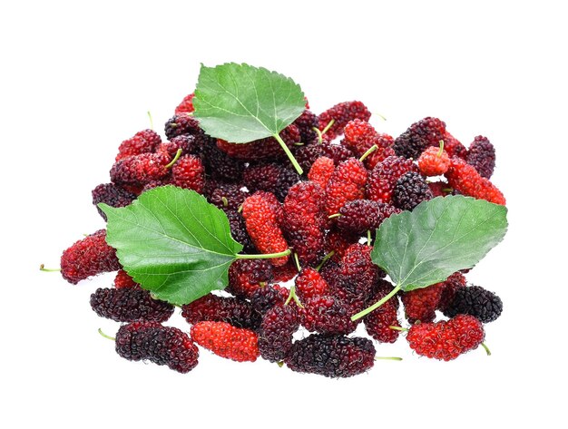 Photo close-up of mulberries against white background