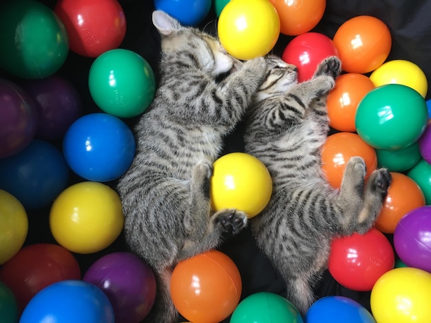 Photo close-up of multi colored balls