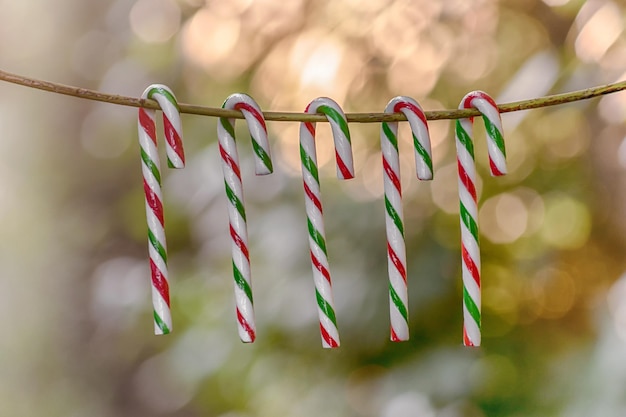 Photo close-up of multi colored candy canes hanging on rope