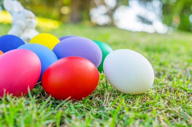 Close-up of multi colored eggs