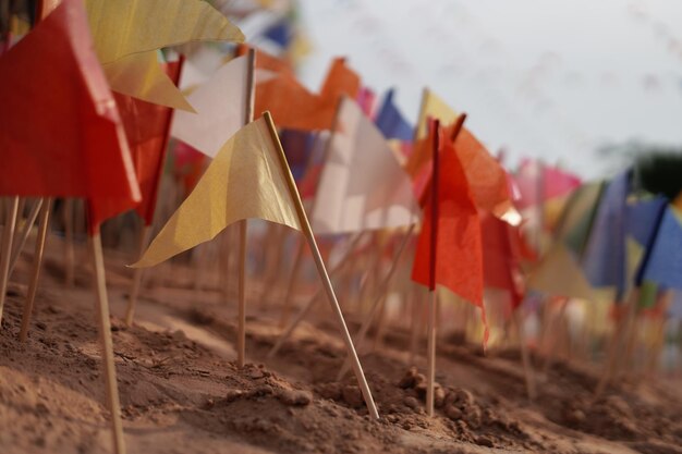 Photo close-up of multi colored flags on field