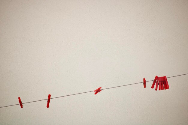 Close-up of multi colored flags hanging on rope against wall