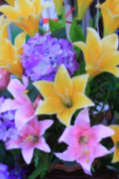 Close-up of multi colored flowers blooming outdoors