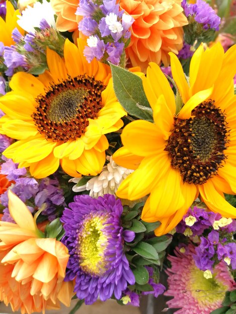 Close-up of multi colored flowers