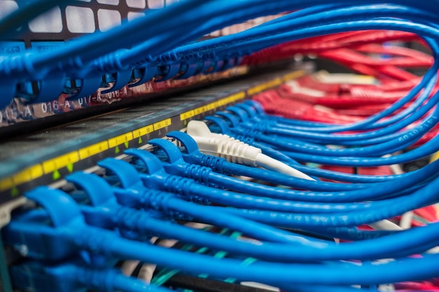 Photo close-up of multi colored network cables