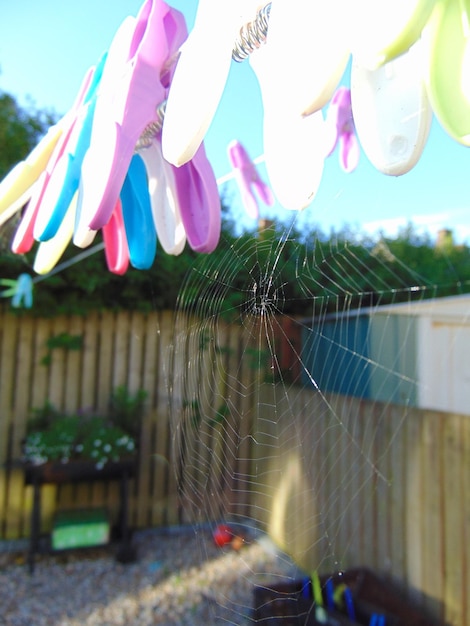 Photo close-up of multi colored pegs hanging on clothesline with spiderweb