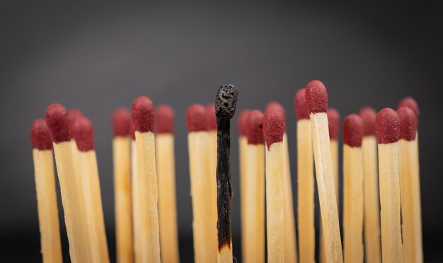 Photo close-up of multi colored pencils against white background