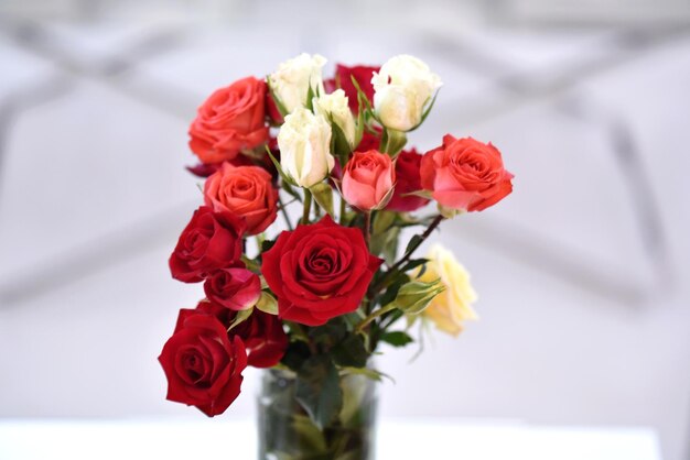 Photo close-up of multi colored rose bouquet