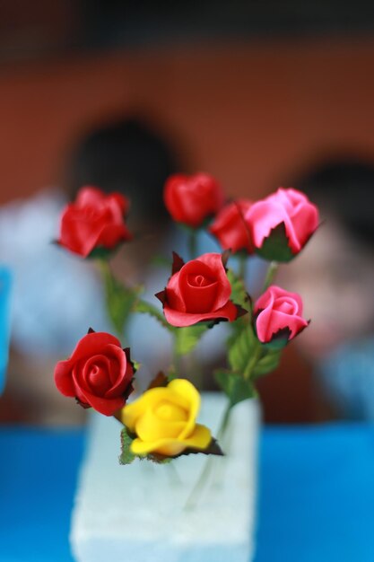 Close-up of multi colored roses