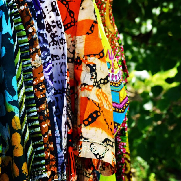 Premium Photo Closeup of multi colored for sale