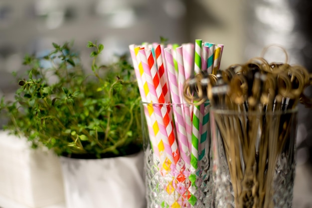 Photo close-up of multi colored straw