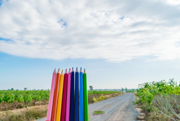 Close-up of multi colored umbrellas on field against sky