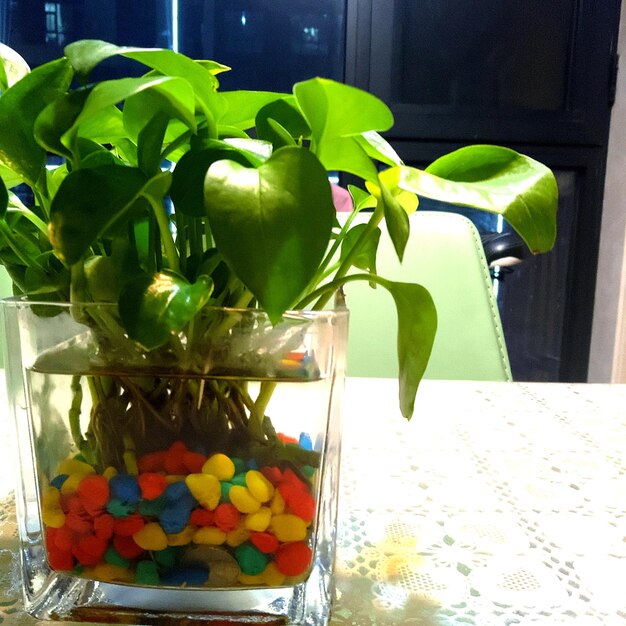 Close-up of multi colored vegetables on table at home