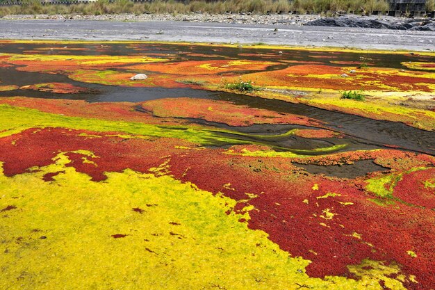 Foto prossimo piano di acqua multicolore