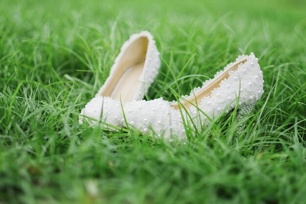 Close-up of mushroom on grassy field