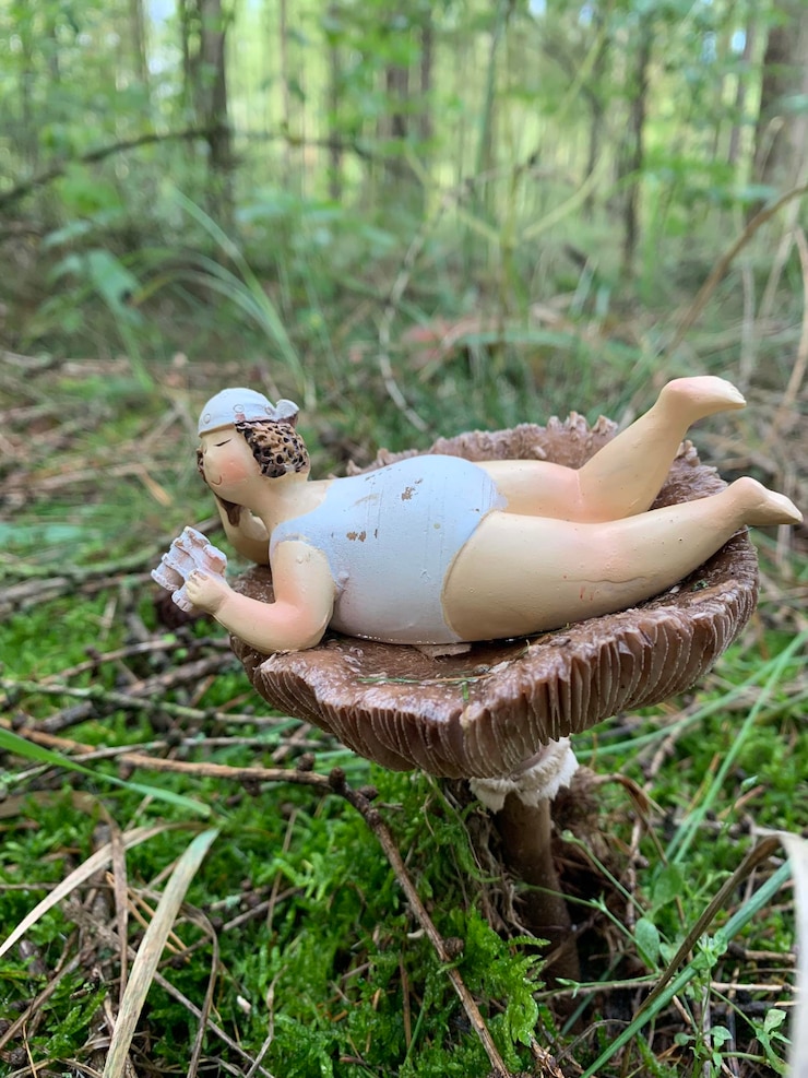 Photo close-up of mushroom growing on field