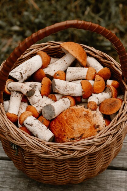 Photo close-up of mushrooms in basket