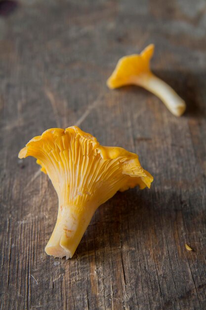 Photo close-up of mushrooms on table