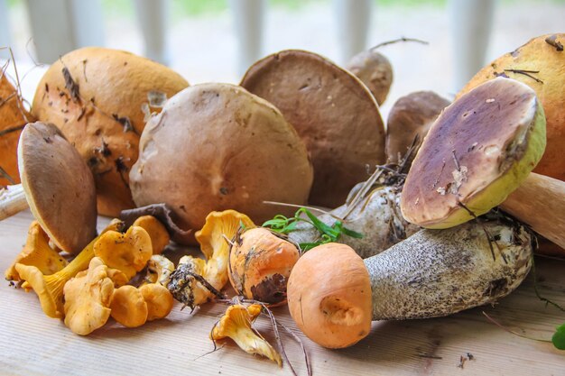 Photo close-up of mushrooms on table