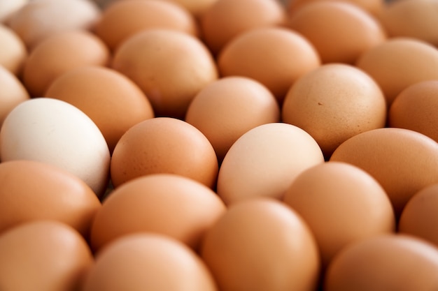 Close up on natural hen eggs