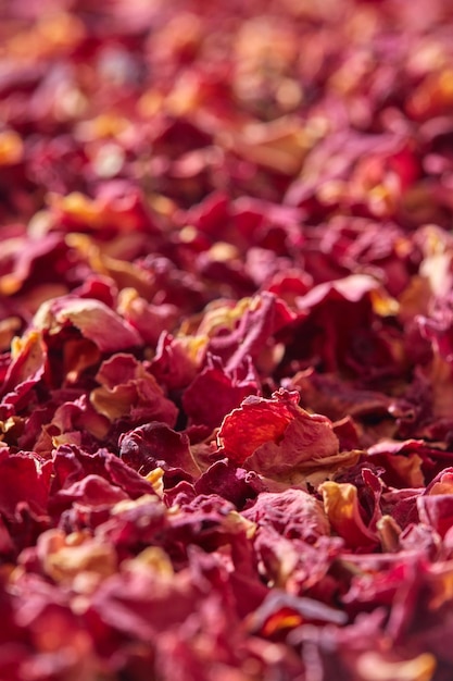 Foto primo piano di petali di rosa rosa naturali