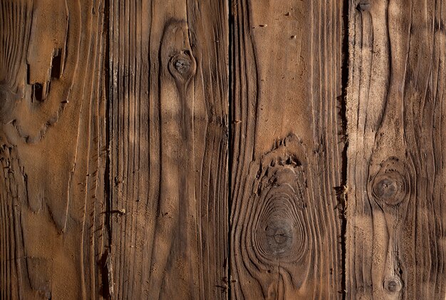 Close up on natural wood texture