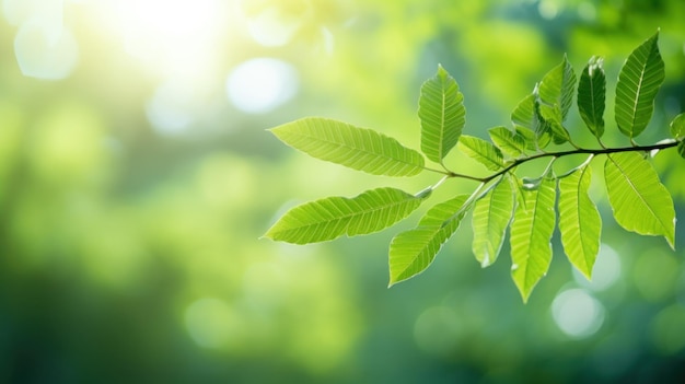 Close-up natuurlijke groene bladeren planten op wazig groen onder zonlicht achtergrond Generatieve AI