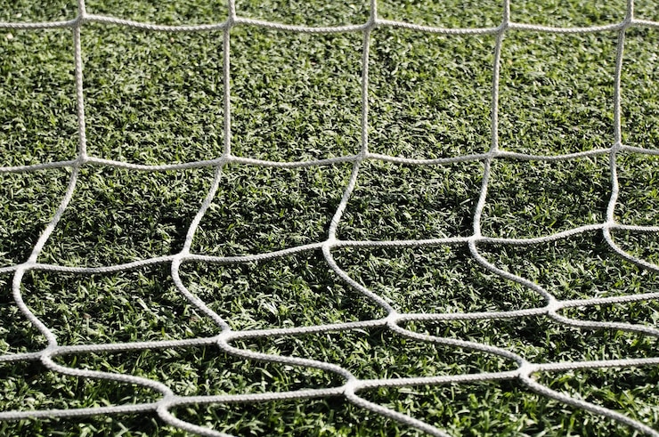 Photo close-up of net on grassy field