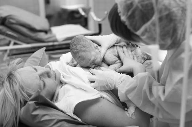 Close-up of a newborn feeding on the mother's breastbone in the maternity ward of a hospital, immediately after birth. Black and white.