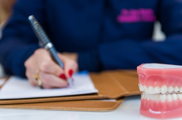 Close up of notepad and business woman writing with dental model