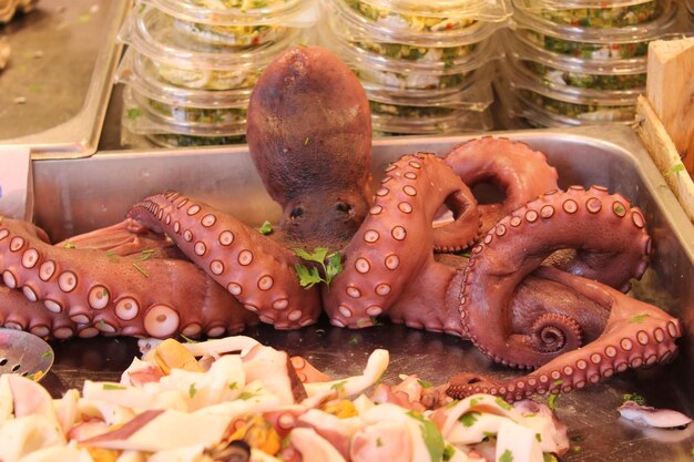 Photo close-up of octopus for sale in market