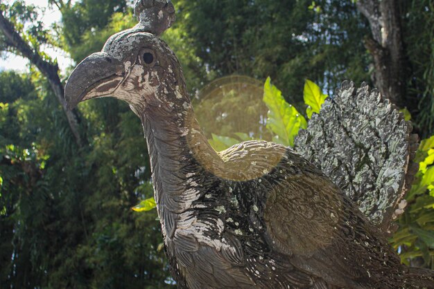 写真 古代 の 鳥 の 像 の クローズアップ