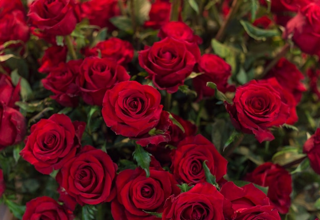 写真 赤いバラの背景の美しい花束のクローズアップ