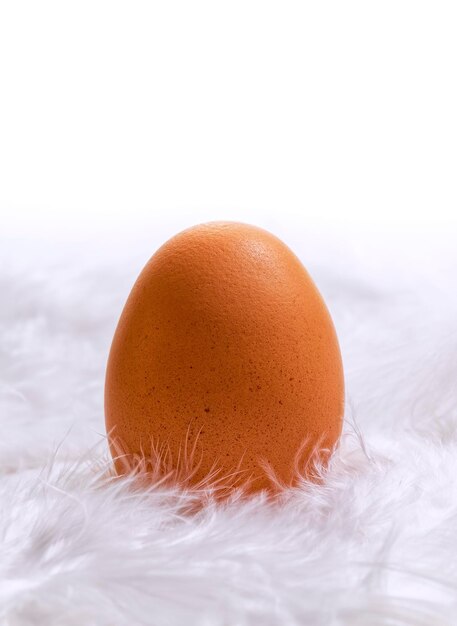Фото Близкий план яйца на белом фоне