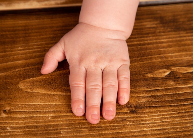 사진 테이블 위 에 있는 아기 의 손 의 클로즈업
