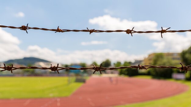 写真 空に照らされた刺<unk>線のクローズアップ