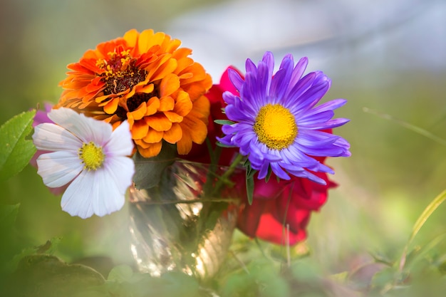 写真 美しい秋の明るい色とりどりの野の花の組成のクローズアップ