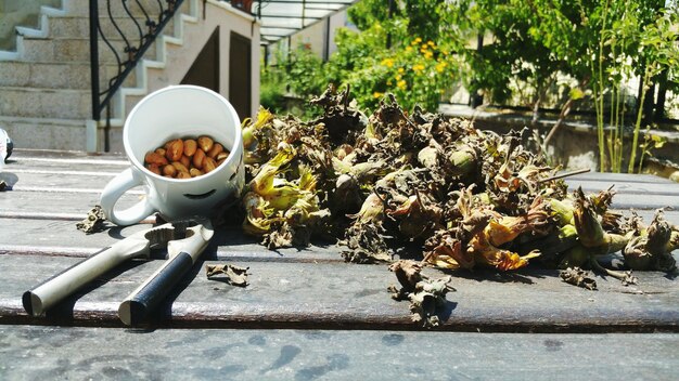 写真 花の木の上にあるミツバチのクローズアップ