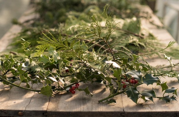 写真 植物上のベリーのクローズアップ