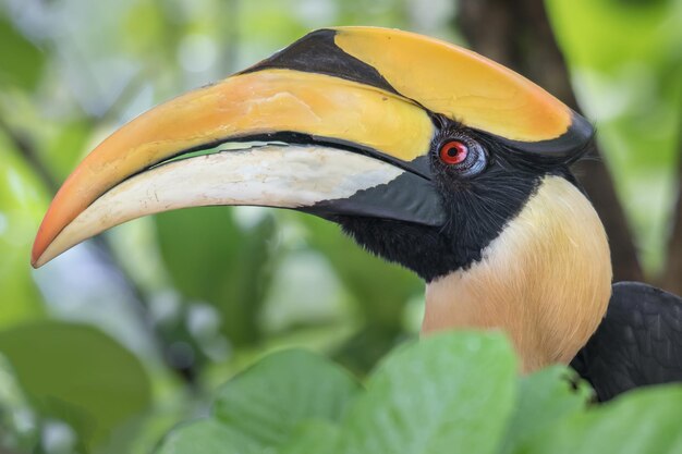 写真 鳥のクローズアップ